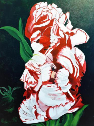 Awakening Parrot Tulip - SOLD