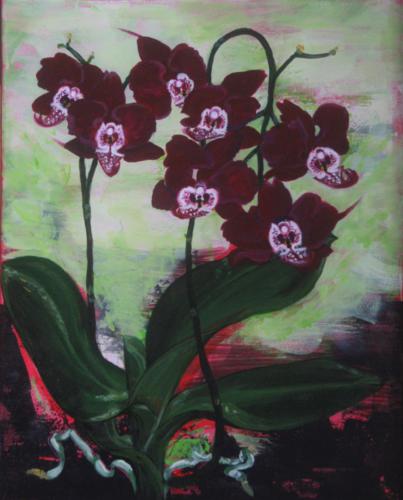 Orchid 16 x 20 : Available