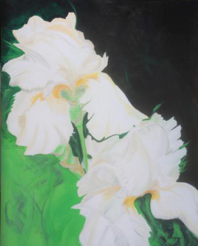 Iris 24 x 30 : available