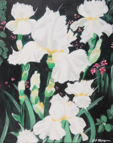 White Iris 16 x 20; Sold.Prints available for $30