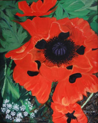 Poppy 24X 30: Sold.Large prints available for $40