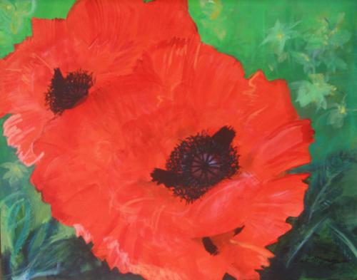 Poppy 16 x 20 : Available