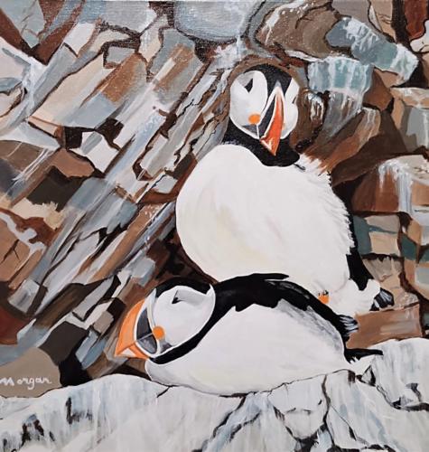 Arctic Puffins 18 x 18″ acrylic on canvas: Available
